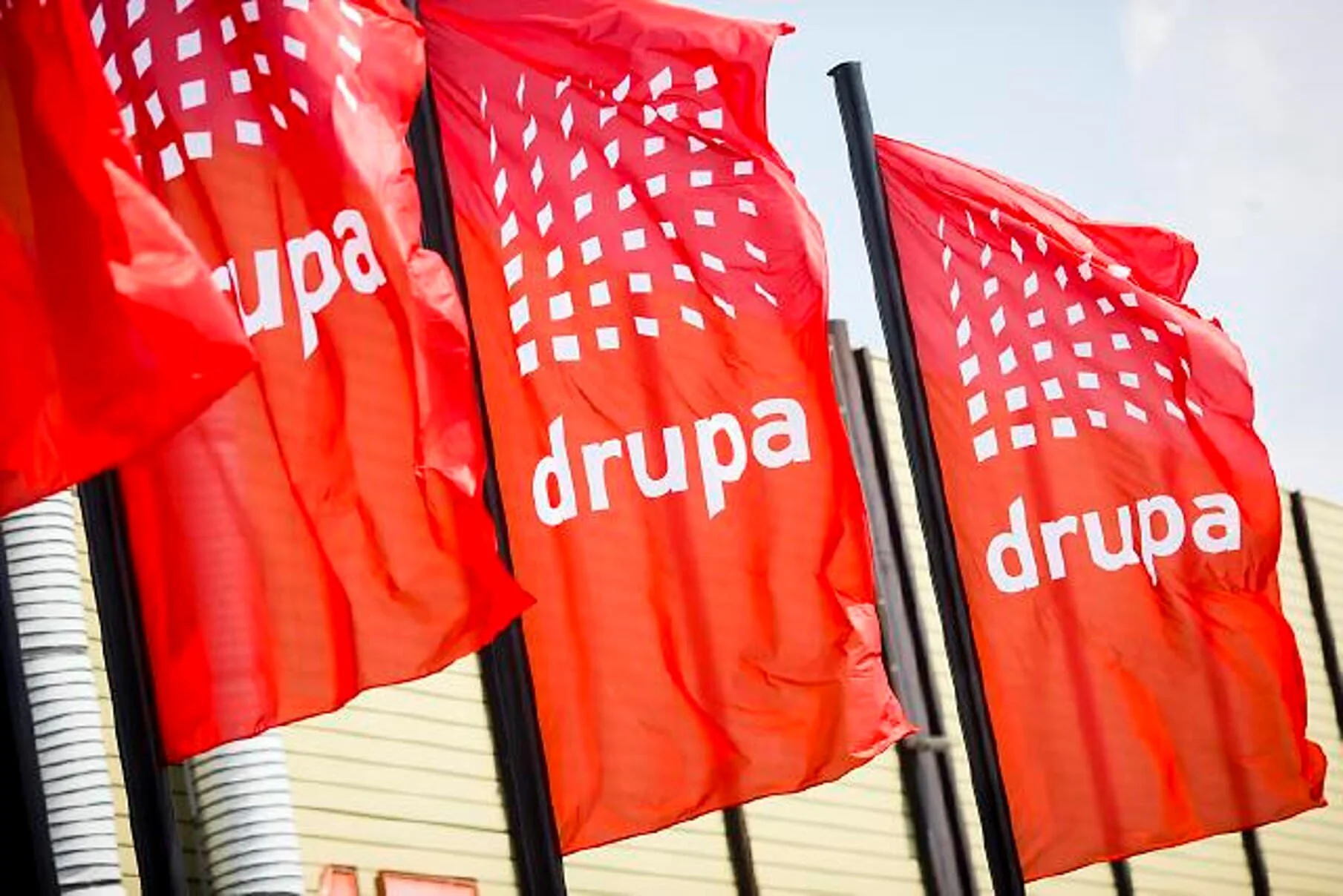 Drupa flag
