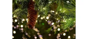 Image of Wishing you a Merry Christmas and abundant joy in 2025!